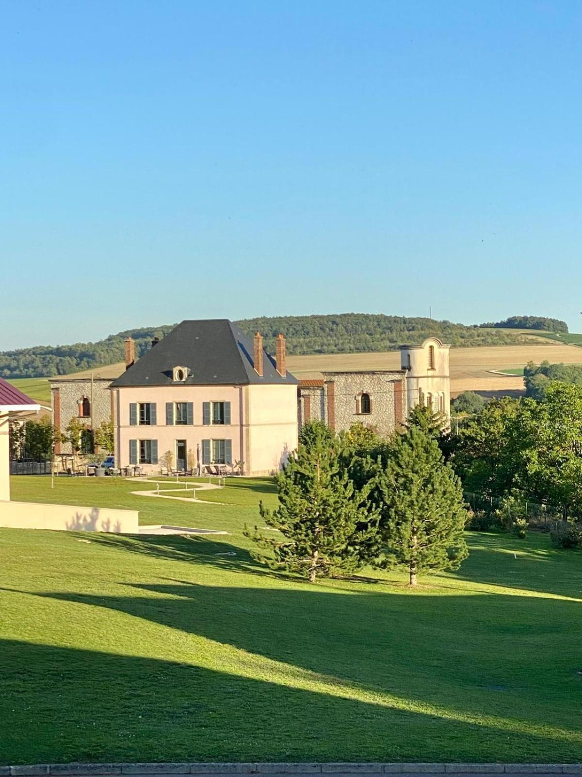 Villa Eulalie - Champagne Edouard Duval B&B Guest House Nestled In The Champagne Area Bligny Екстериор снимка